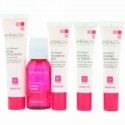 Andalou Naturals, スターター・キット、1000 ローズ、 センシティブ、 5ピースキット