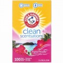 Arm & Hammer, Clean Scentsations、シート型柔軟剤、トロピカルパラダイス、100枚 (Discontinued Item)