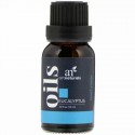 Artnaturals, ユーカリオイル、15ml（.50 fl oz） (Discontinued Item)