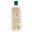 Aubrey Organics, アイランドボタニカルシャンプー、ドライヘア、マンゴココナッツ、11 液体オンス（325 ml）