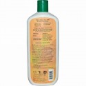 Aubrey Organics, J.A.Y. デザートハーブ、リバイタライジング･シャンプー、乾燥/傷んだ髪用、16 fl oz (473 ml) (Discontinued Item)