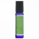 BCL, Be Care Love, Essential Oil Aromatherapy Roll-On, Immunity,  0.34 fl oz (10 ml) (Discontinued Item)