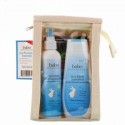 Babo Botanicals, シラミ予防必須アイテムギフトセット、2個＋櫛付き