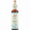 Bach, オリジナルフラワー レメディ、 ビーチ、 0.7 fl oz (20 ml)