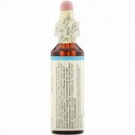 Bach, オリジナルフラワー レメディ、 ビーチ、 0.7 fl oz (20 ml)