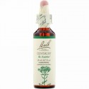 Bach, オリジナルフラワー レメディ、 セントロウ、 0.7 fl oz (20 ml)