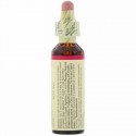 Bach, オリジナルフラワー エッセンス、 クラブアップル、 0.7 fl oz (20 ml)