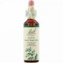 Bach, Original Flower Remedies, Holly, 0.7 fl oz (20 ml)