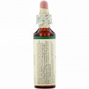 Bach, Original Flower Remedies, Holly, 0.7 fl oz (20 ml)