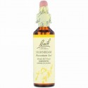 Bach, オリジナルフラワーレメディ、ホーンビーム（シデ）、0.7 液量オンス (20 ml)