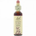 Bach, オリジナルフラワー レメディ、インパチェンス、 0.7 fl oz (20 ml)