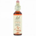 Bach, Original Flower Remedies, Mimulus, 0.7 fl oz (20 ml)