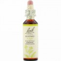 Bach, Original Flower Remedies, Mustard, 0.7 fl oz (20 ml)