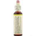 Bach, Original Flower Remedies, Mustard, 0.7 fl oz (20 ml)