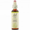 Bach, オリジナルフラワーレメディ、オリーブ、20ml（0.7液量オンス）