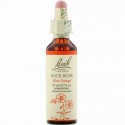 Bach, オリジナルフラワー レメディ、 ロック ローズ、 0.7 fl oz (20 ml)