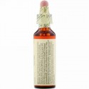 Bach, オリジナルフラワー レメディ、 ロック ローズ、 0.7 fl oz (20 ml)