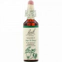 Bach, Original Flower Remedies, Walnut, 0.7 fl oz (20 ml)