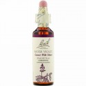 Bach, オリジナルフラワー レメディ、 ウォーターバイオレット、 0.7 fl oz (20 ml)