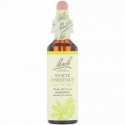 Bach, オリジナルフラワー レメディ、 ホワイトチェストナット、 0.7 fl oz (20 ml)
