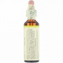 Bach, オリジナルフラワー レメディ、 ホワイトチェストナット、 0.7 fl oz (20 ml)