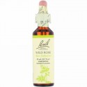 Bach, オリジナルフラワー レメディ、 ワイルド ローズ、 0.7 fl oz (20 ml)