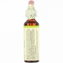 Bach, オリジナルフラワー レメディ、 ワイルド ローズ、 0.7 fl oz (20 ml)