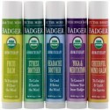 Badger Company, Aromatherapy Travel Kit, 5 Pack, .15 oz (4.3 g) Each