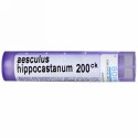 Boiron, Single Remedies, セイヨウトチノキ、200CK、約80粒 (Discontinued Item)