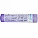Boiron, Single Remedies, セイヨウトチノキ、200CK、約80粒 (Discontinued Item)