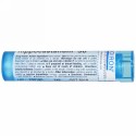 Boiron, Single Remedies, セイヨウトチノキ、30C、約80粒 (Discontinued Item)