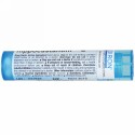 Boiron, Single Remedies, セイヨウトチノキ、6C、約80粒 (Discontinued Item)