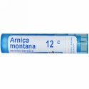 Boiron, Single Remedies, Arnica Montana（アルニカ モンタナ）、12C、約80ペレット (Discontinued Item)