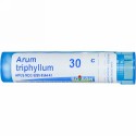 Boiron, Single Remedies, Arum Triphyllum, 30C, 約 80粒 (Discontinued Item)