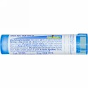 Boiron, Single Remedies, ベラドンナ, 30C, 80 粒