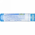 Boiron, Single Remedies, ホウ砂, 30C, 約 80 粒 (Discontinued Item)