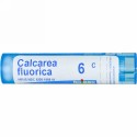 Boiron, Single Remedies, 石灰沈着性Fluorica, 6C, 約 80 粒 (Discontinued Item)