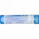 Boiron, Single Remedies, Calcarea Sulphurica（カルカレア サルファリカ）、6C、約80ペレット (Discontinued Item)