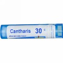 Boiron, Single Remedies, Cantharis（カンタリス）、30C、約80ペレット