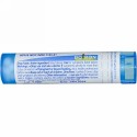 Boiron, Single Remedies, Cantharis（カンタリス）、30C、約80ペレット