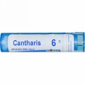Boiron, Single Remedies, Cantharis（カンタリス）、6C、約80ペレット (Discontinued Item)