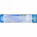 Boiron, Single Remedies, Carbo Vegetabilis, 6C, 約 80 粒 (Discontinued Item)