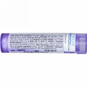 Boiron, Single Remedies, Caulophyllum Thalictroides（コーロフィラム タリクトロイズ）、200CK、約80ペレット (Discontinued Item)
