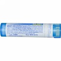 Boiron, Single Remedies, Caulophyllum Thalictroides, 6C, 80 Pellets (Discontinued Item)