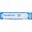 Boiron, Single Remedies, Causticum, 30C,約 80 粒