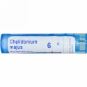 Boiron, Single Remedies, Chelidonium Majus, 6C, 80 粒 (Discontinued Item)