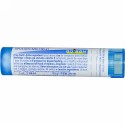 Boiron, Single Remedies, Cimicifuga Racemosa（キミシフガ ラセモサ）、30C、約80ペレット (Discontinued Item)