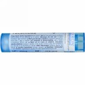 Boiron, Single Remedies, Cimicifuga Racemosa, 6C, 約 80 粒 (Discontinued Item)
