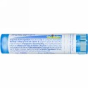 Boiron, Single Remedies, シナ, 6C, 約 80 粒 (Discontinued Item)