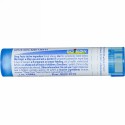 Boiron, Single Remedies, Cinchona Officinalis（シンコーナ オフィシナリス）、30C、約80ペレット (Discontinued Item)